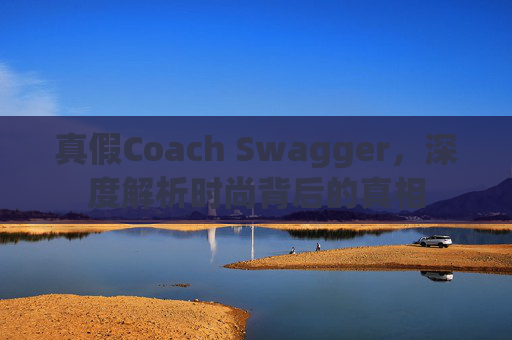 真假Coach Swagger，深度解析时尚背后的真相