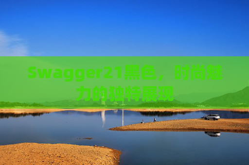 Swagger21黑色，时尚魅力的独特展现