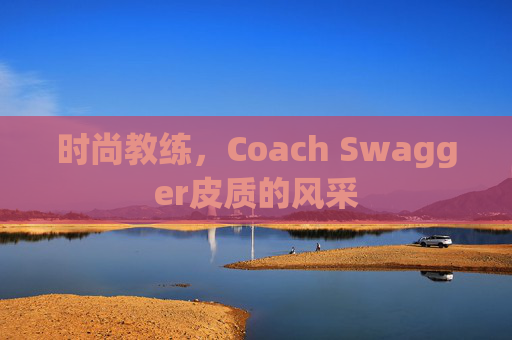 时尚教练，Coach Swagger皮质的风采