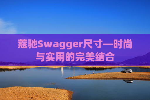 蔻驰Swagger尺寸—时尚与实用的完美结合