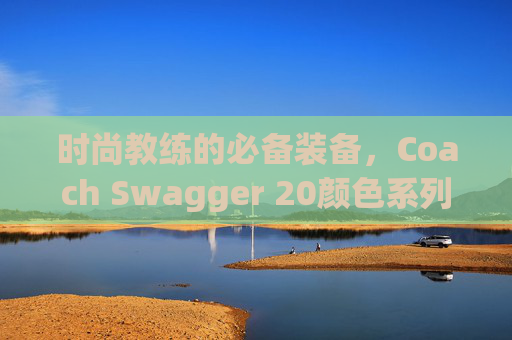 时尚教练的必备装备，Coach Swagger 20颜色系列