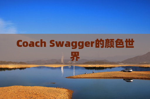 Coach Swagger的颜色世界