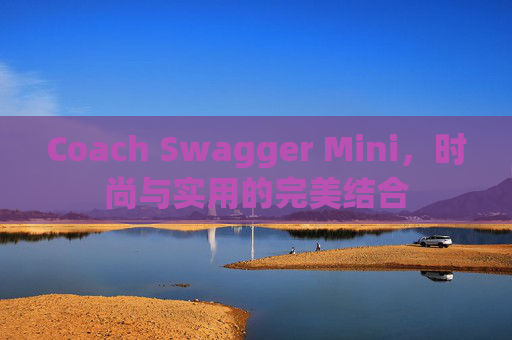 Coach Swagger Mini，时尚与实用的完美结合