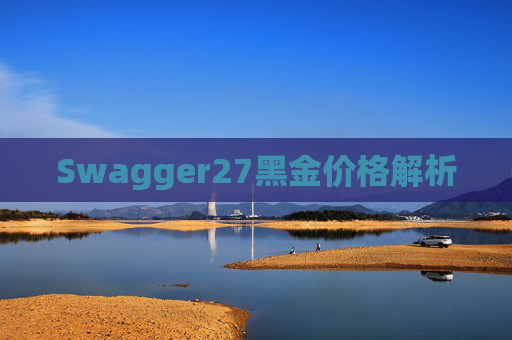 Swagger27黑金价格解析