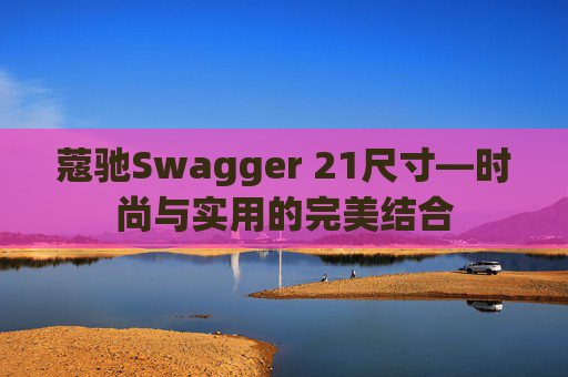 蔻驰Swagger 21尺寸—时尚与实用的完美结合