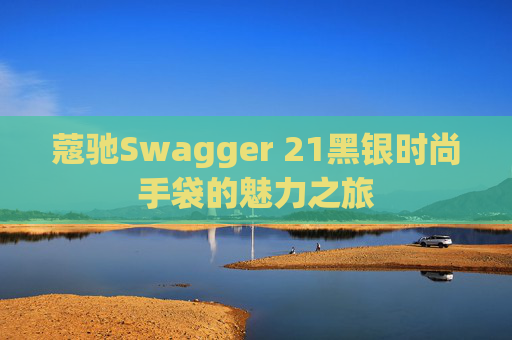 蔻驰Swagger 21黑银时尚手袋的魅力之旅