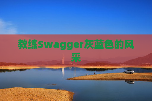 教练Swagger灰蓝色的风采