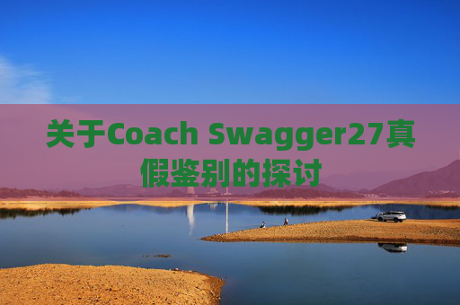 关于Coach Swagger27真假鉴别的探讨
