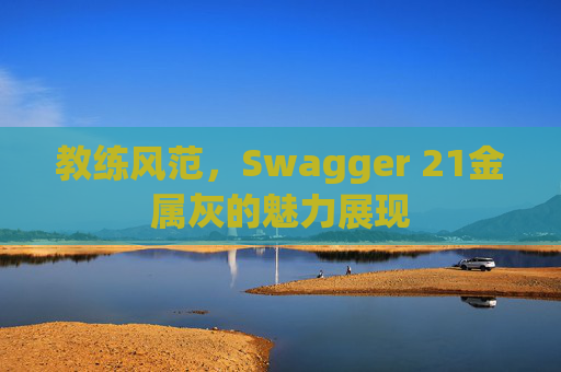 教练风范，Swagger 21金属灰的魅力展现
