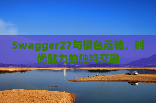 Swagger27与橘色蔻驰，时尚魅力的独特交融