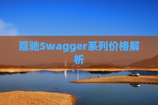 蔻驰Swagger系列价格解析