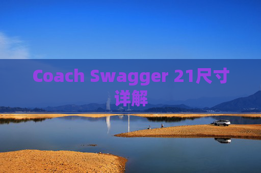 Coach Swagger 21尺寸详解
